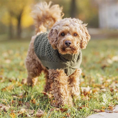 Trixie Design Norwood Hundepullover Striktrøje Olivengrøn
